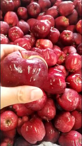 花牛苹果-新鲜应季红苹果蛇果